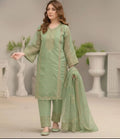 Organza Embroidered Suit