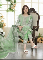 Organza Embroidered Suit
